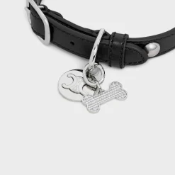 Hot Bone strass dog medal in brass Dog Accessories