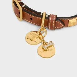 Discount Bone strass plate dog medal in brass Dog Accessories