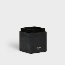 Clearance Case 1 Perfume 100ml in Crocodile Fragrances
