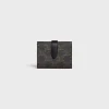 Discount Fine Strap Wallet in Triomphe Canvas and Lambskin Triomphe Canvas | Essentials