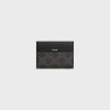 Fashion LARGE CARD HOLDER in TRIOMPHE CANVAS AND CALFSKIN Triomphe Canvas | Essentials