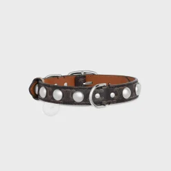 Outlet Medium Large Dog Collar in Triomphe Canvas and Calfskin with Studs Dog Accessories