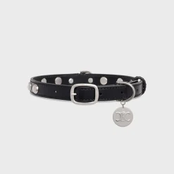 Outlet Medium Thin Dog Collar in Smooth Calfskin with Studs Dog Accessories