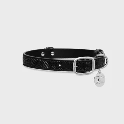 New MEDIUM THIN DOG COLLAR IN SUEDE CALFSKIN WITH STRASS Dog Accessories