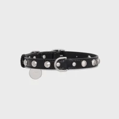 Outlet Medium Thin Dog Collar in Smooth Calfskin with Studs Dog Accessories