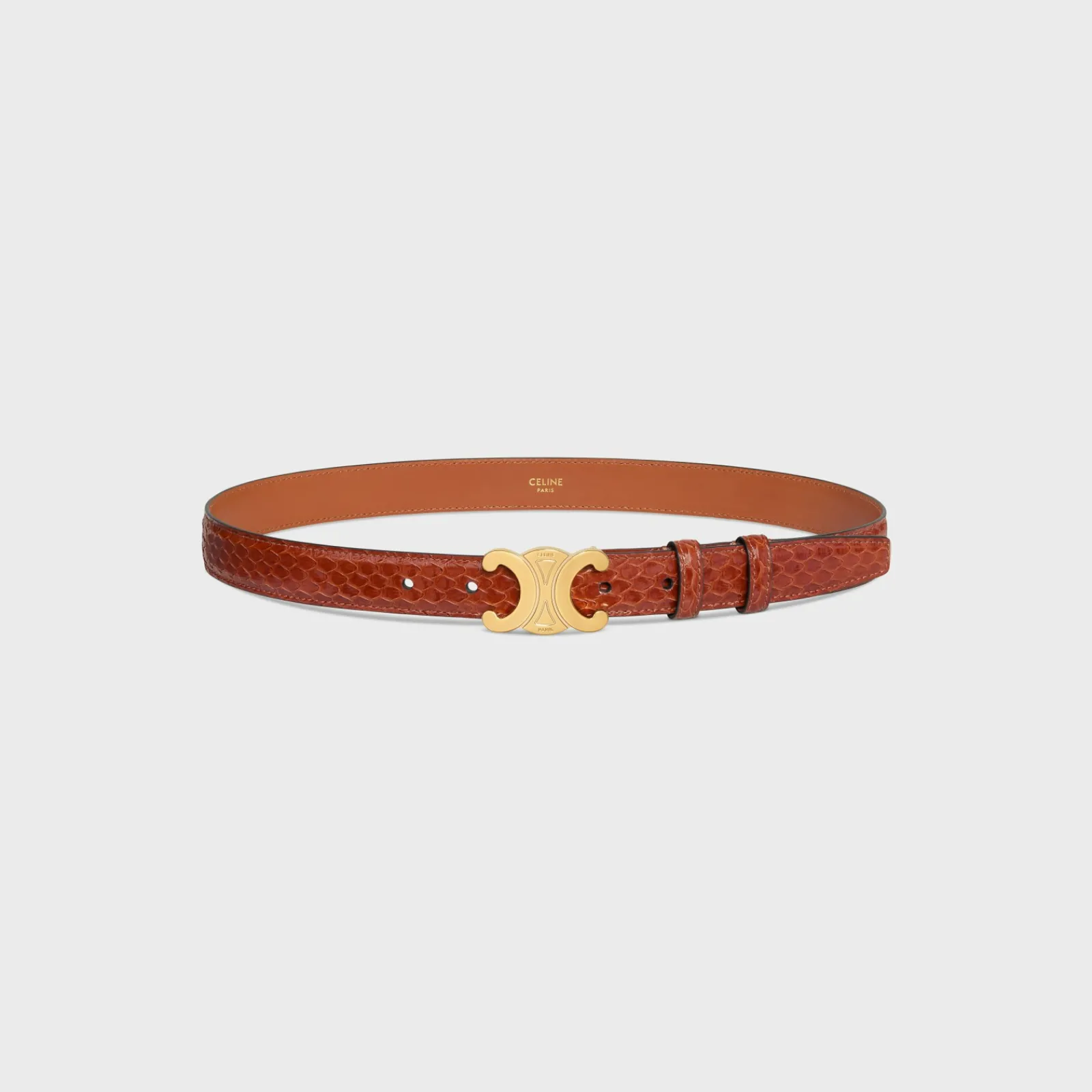 Clearance Medium Triomphe Belt in PYTHON Women Triomphe