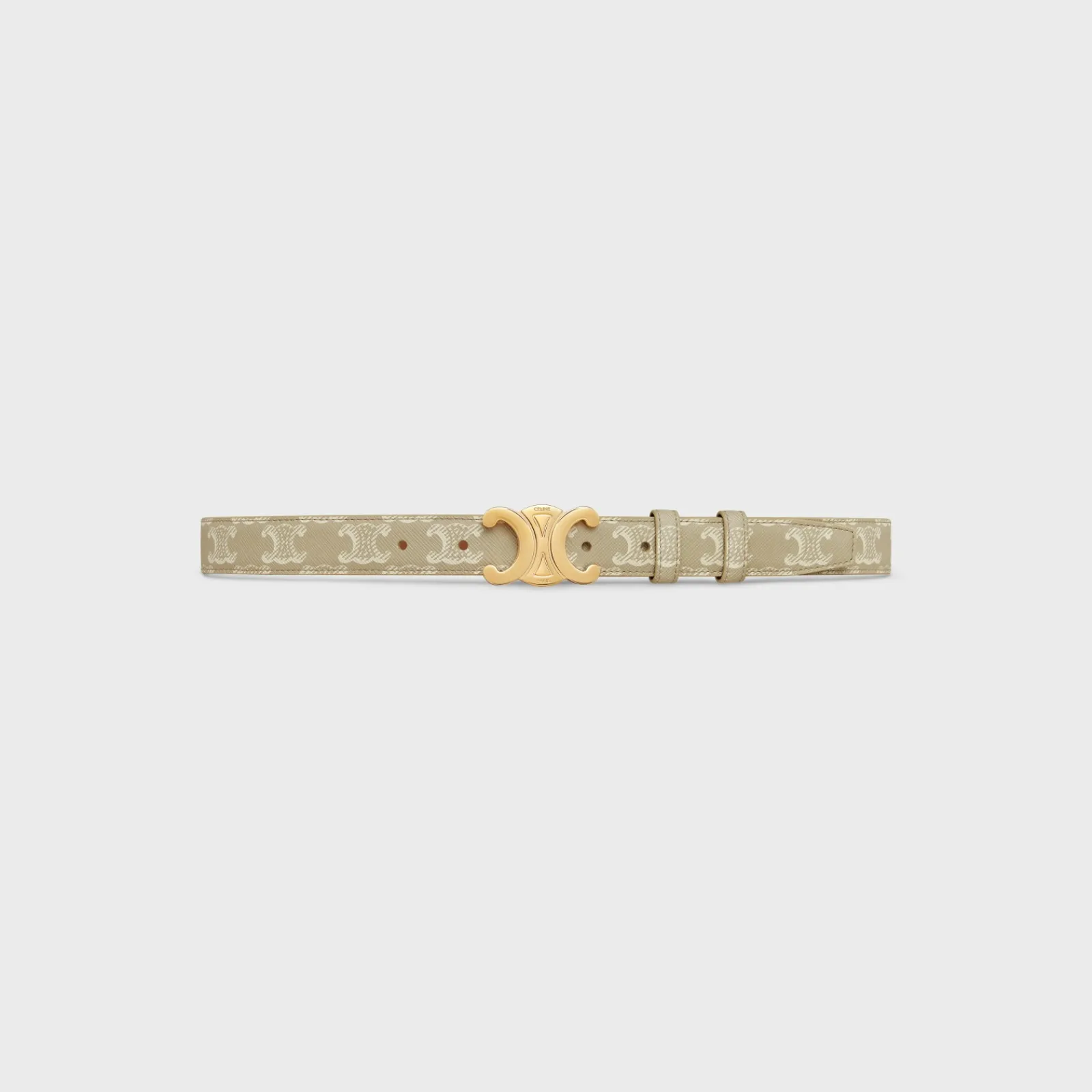 Fashion Medium Triomphe Belt in Triomphe Canvas Women Triomphe