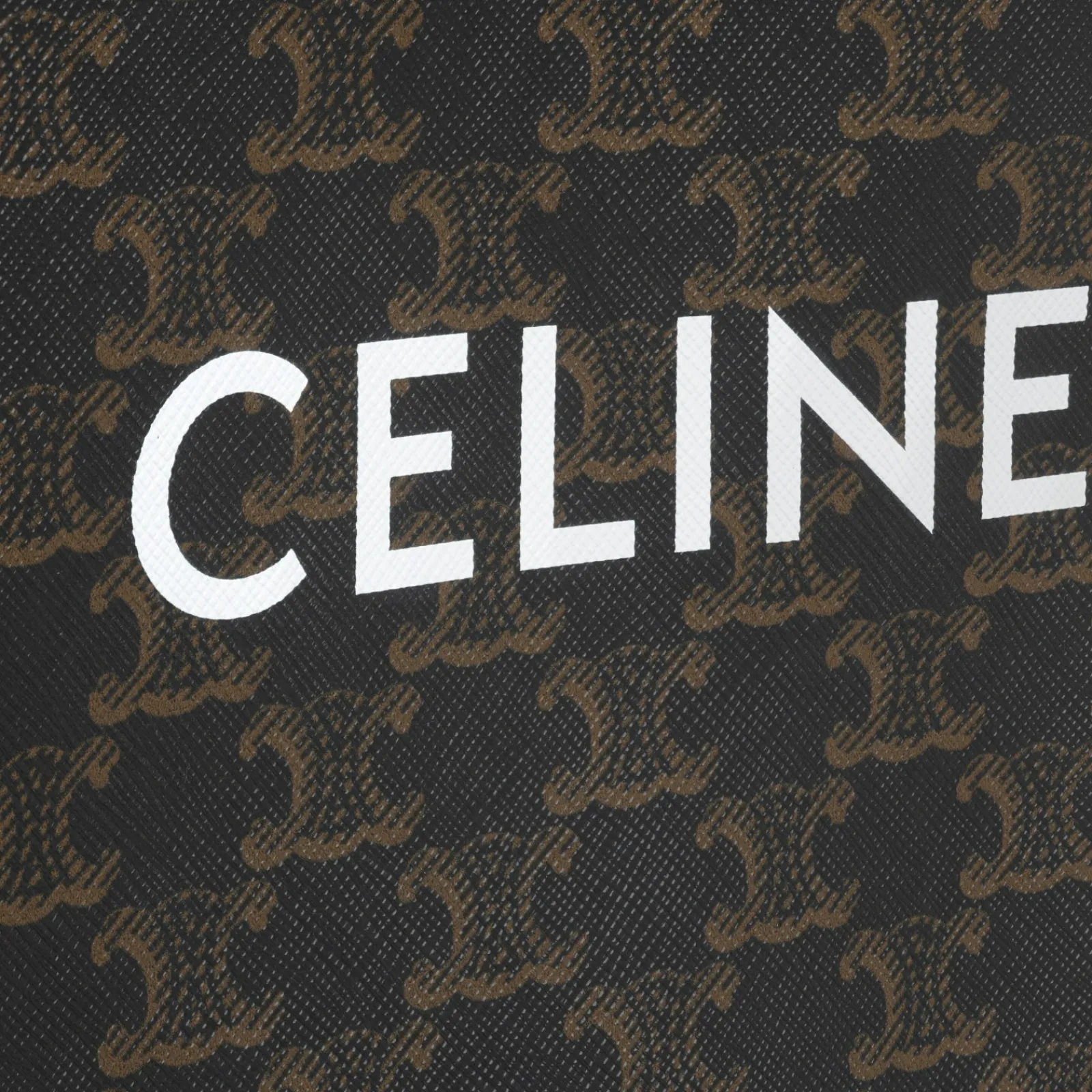 New Mini Vertical Cabas in Triomphe Canvas and calfskin with print Women Triomphe Canvas | Categories·Cross-Body Bags