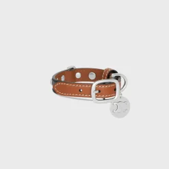 Clearance Nano Extra Thin Dog Collar in Triomphe Canvas and Calfskin with studs Dog Accessories