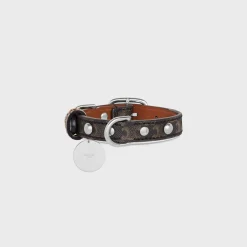 Clearance Nano Extra Thin Dog Collar in Triomphe Canvas and Calfskin with studs Dog Accessories