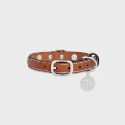 New Small Thin Dog Collar in Triomphe Canvas & Calfskin with studs Dog Accessories
