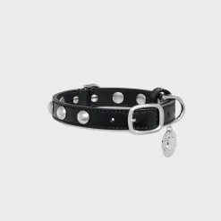 Hot Small Thin Dog Collar in Smooth Calfskin with Studs Dog Accessories