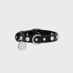 Hot Small Thin Dog Collar in Smooth Calfskin with Studs Dog Accessories