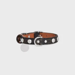 New Small Thin Dog Collar in Triomphe Canvas & Calfskin with studs Dog Accessories