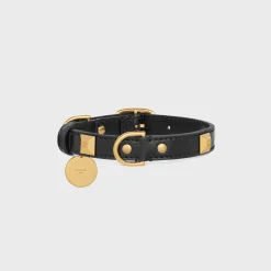 Best Small Thin Dog Collar in smooth Calfskin with pyramid studs Dog Accessories