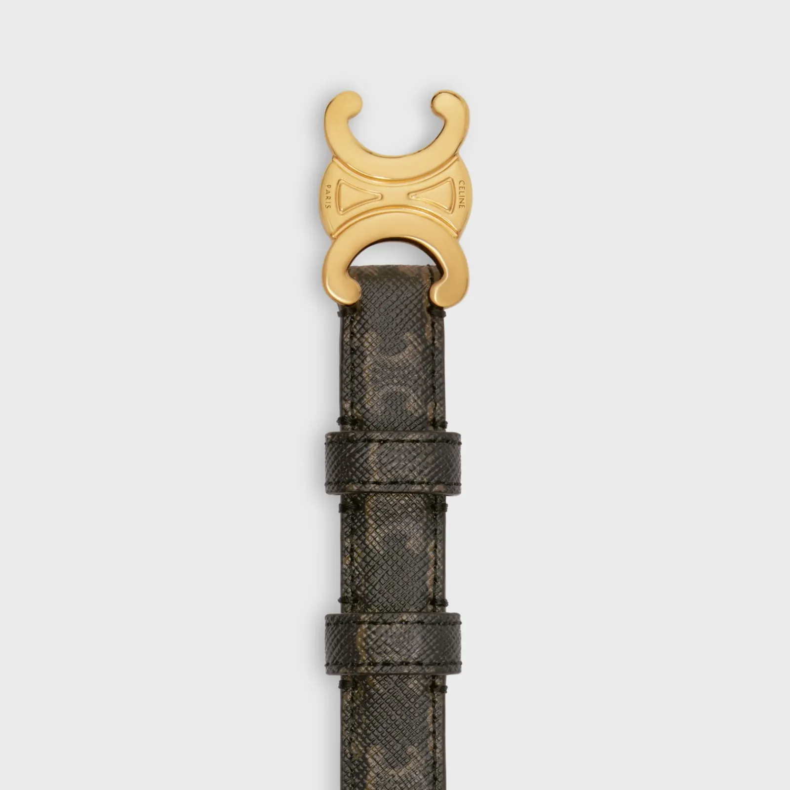New Small Triomphe Belt in TRIOMPHE CANVAS Women Triomphe
