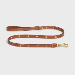 New Thin Dog Leash in Smooth Calfskin with Studs Triomphe Dog Accessories