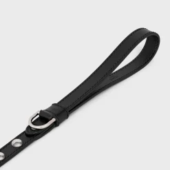 Discount Thin Dog Leash in Smooth Calfskin with Studs Dog Accessories