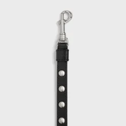 Discount Thin Dog Leash in Smooth Calfskin with Studs Dog Accessories