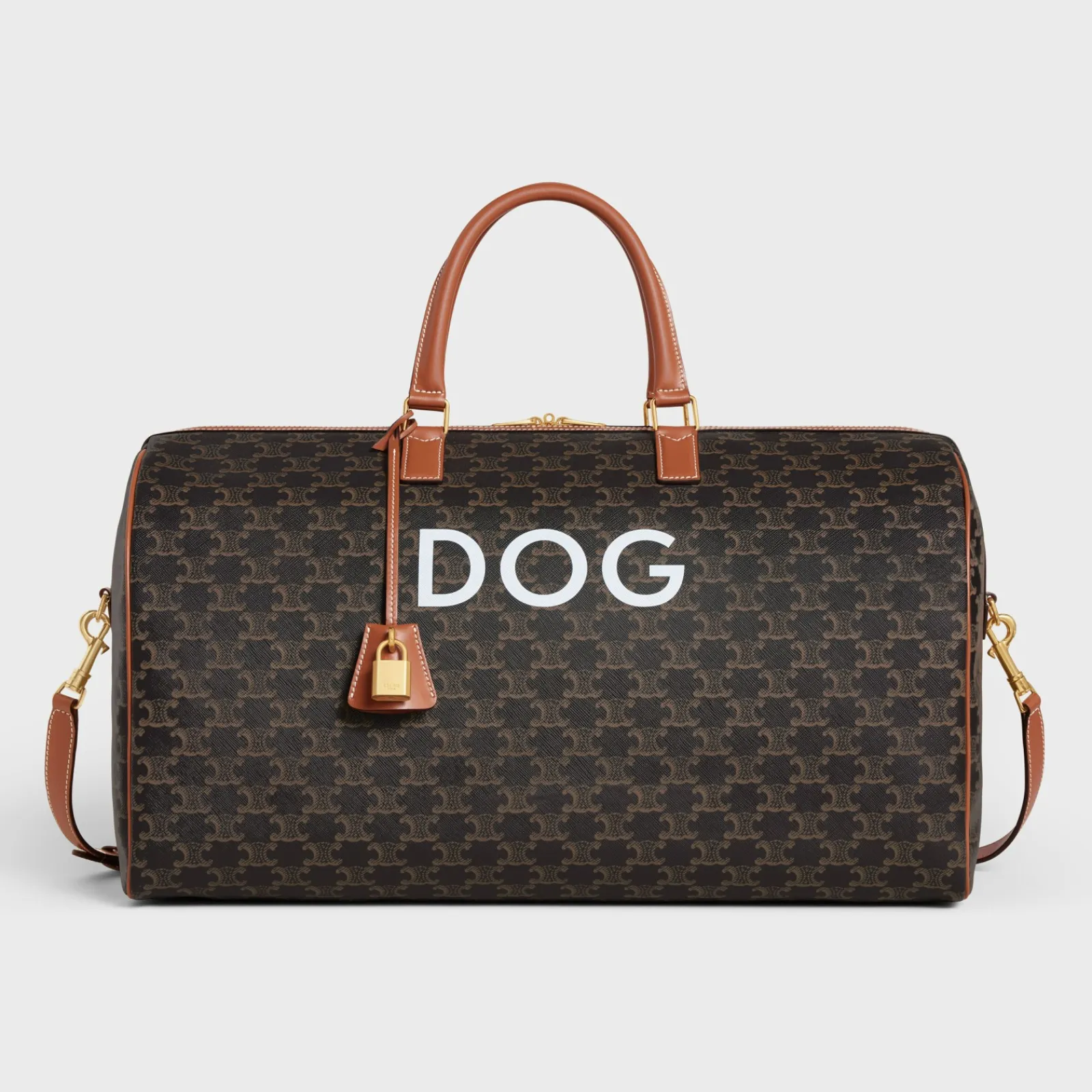 Best Travel 50 in Triomphe Canvas with Dog Print Dog Accessories