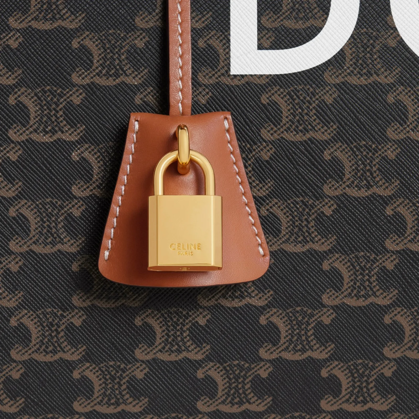 Best Travel 50 in Triomphe Canvas with Dog Print Dog Accessories