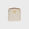 Discount Vanity Case in Triomphe Canvas and Calfskin Travel