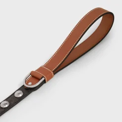 Clearance Wide Dog Leash in Triomphe Canvas and Calfskin with Studs Dog Accessories