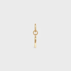 Fashion X CHARM in Brass Women Categories·Straps And Accessories